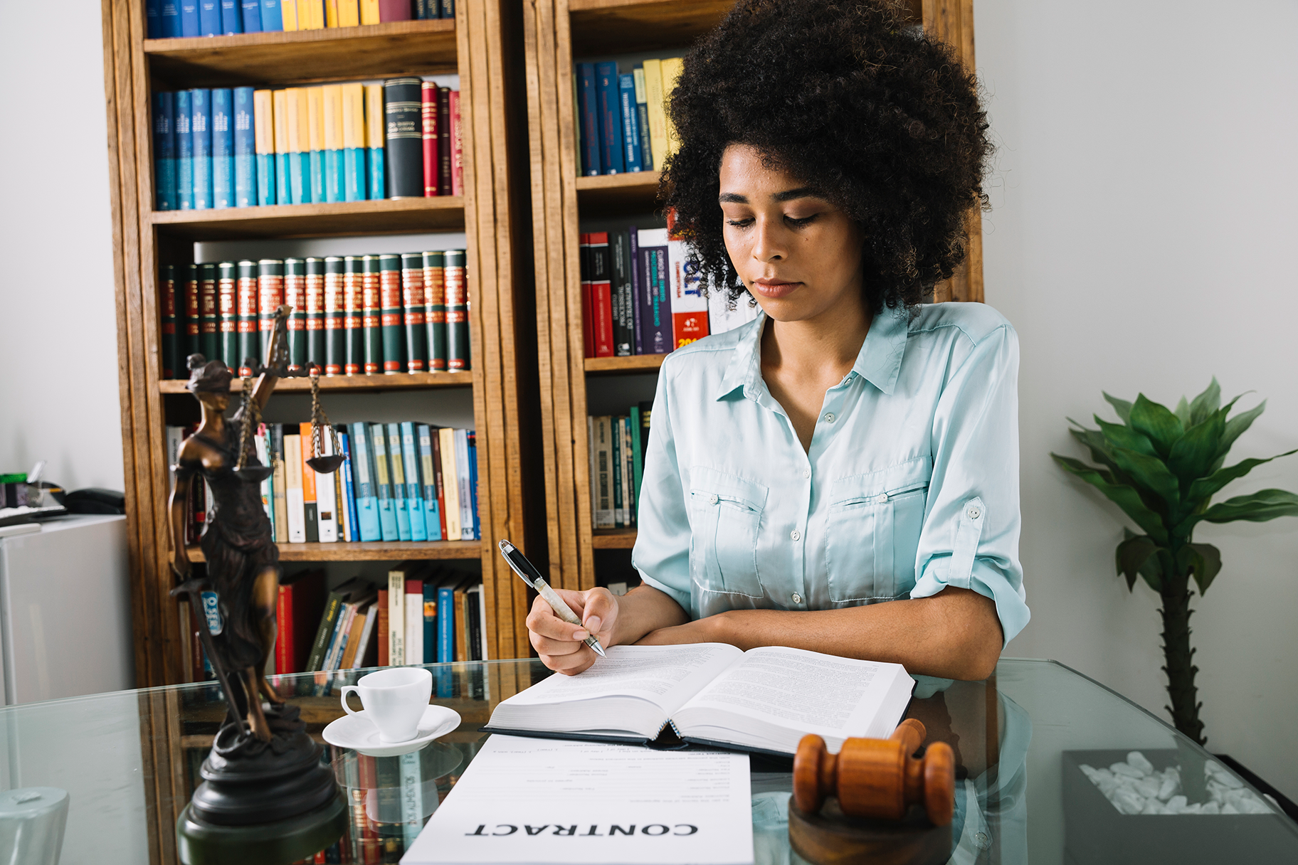 Immigration Resolutions Image